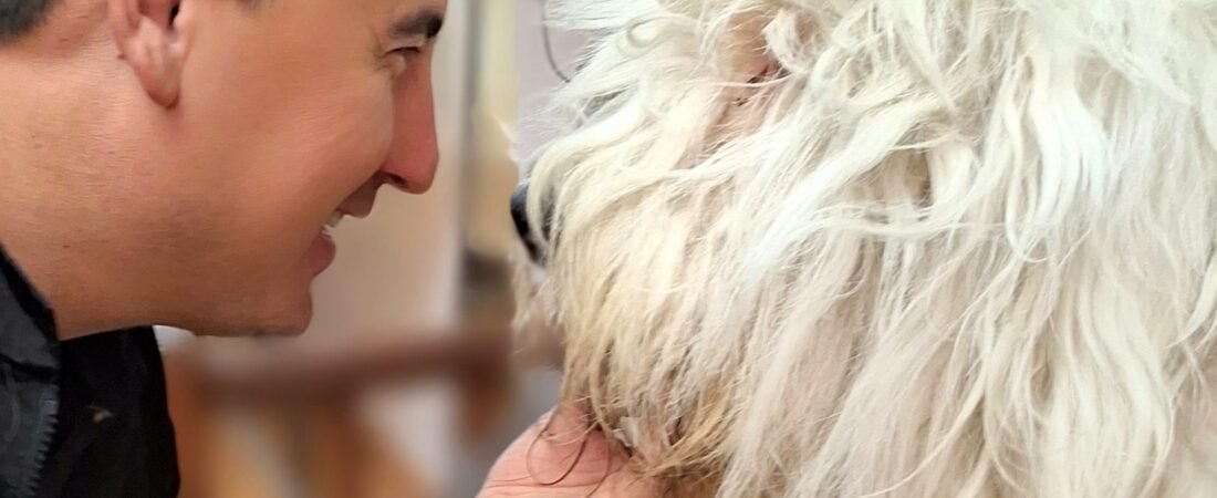 Conociendo al Viejo Pastor Inglés: Un Criadero de Excelencia en Hidalgo